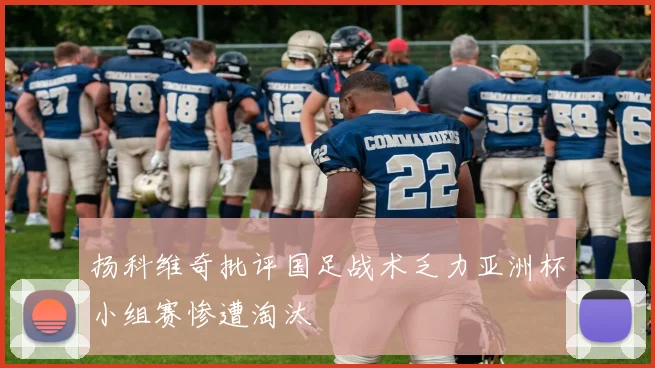 扬科维奇批评国足战术乏力亚洲杯小组赛惨遭淘汰