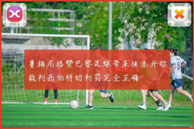 鲁梅尼格赞巴黎足球带来快乐并称裁判西伯特的判罚完全正确