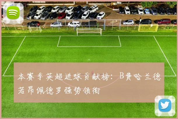 本赛季英超进球贡献榜：B费哈兰德若昂佩德罗强势领衔